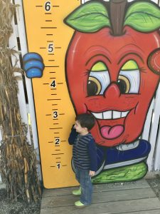 Creating a Realistic Family Fall Bucket List #familytraditions #fall #kidfriendly