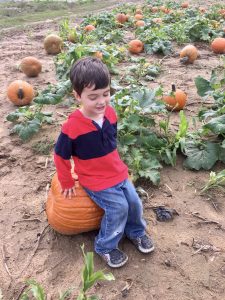 what to do with kids in the fall #familyfriendly #ineexpensive #pumpkinfarm