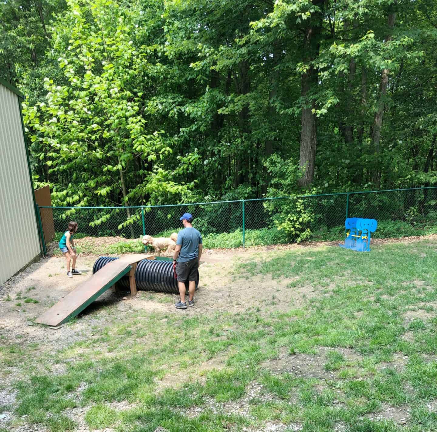 dog park at kozy rest