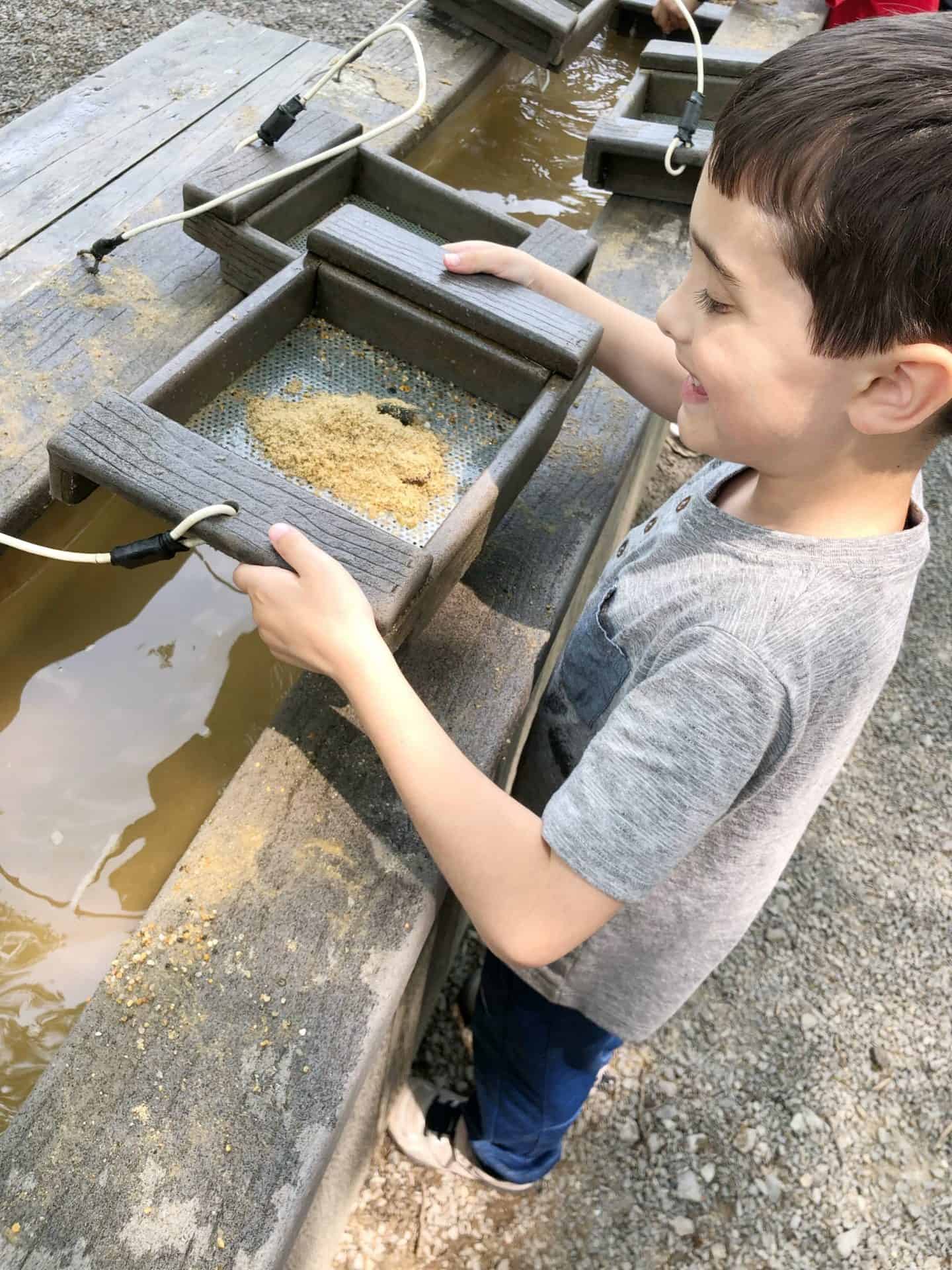 Review Yogi Bear's Jellystone Park, PA