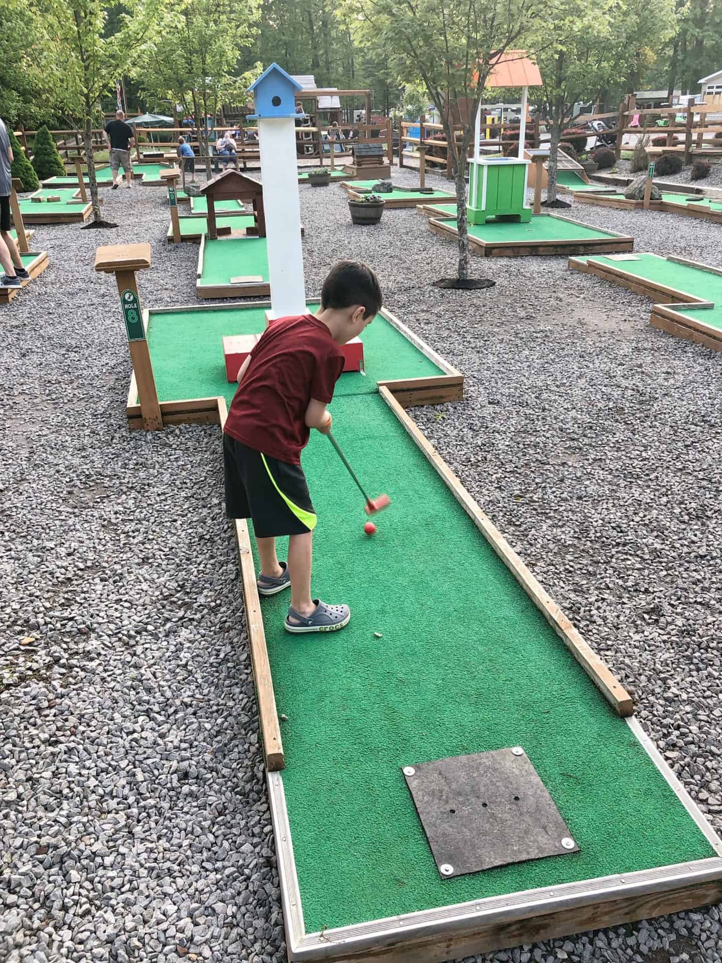 putt putt golf at jellystone park