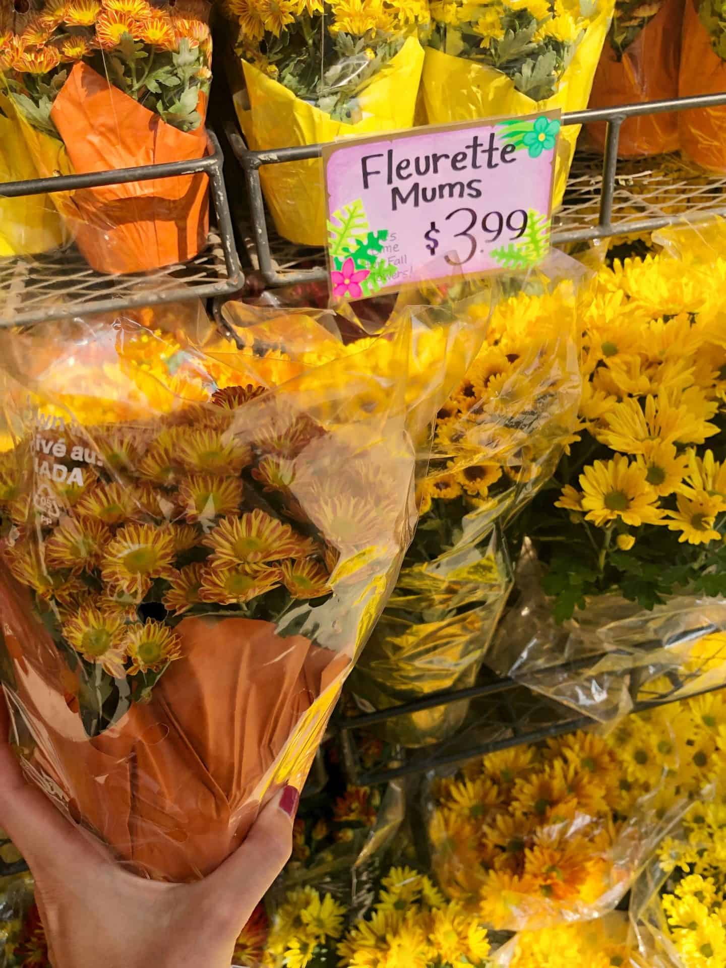 Trader Joe's Fall Favorites #shoppinglist #recipes #pumpkin