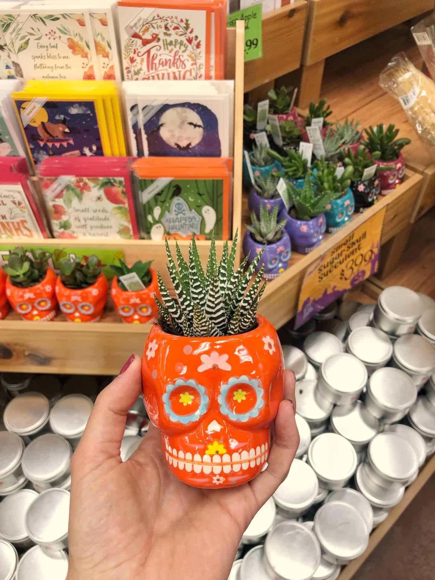 Trader Joe's Fall Favorites #shoppinglist #recipes #pumpkin