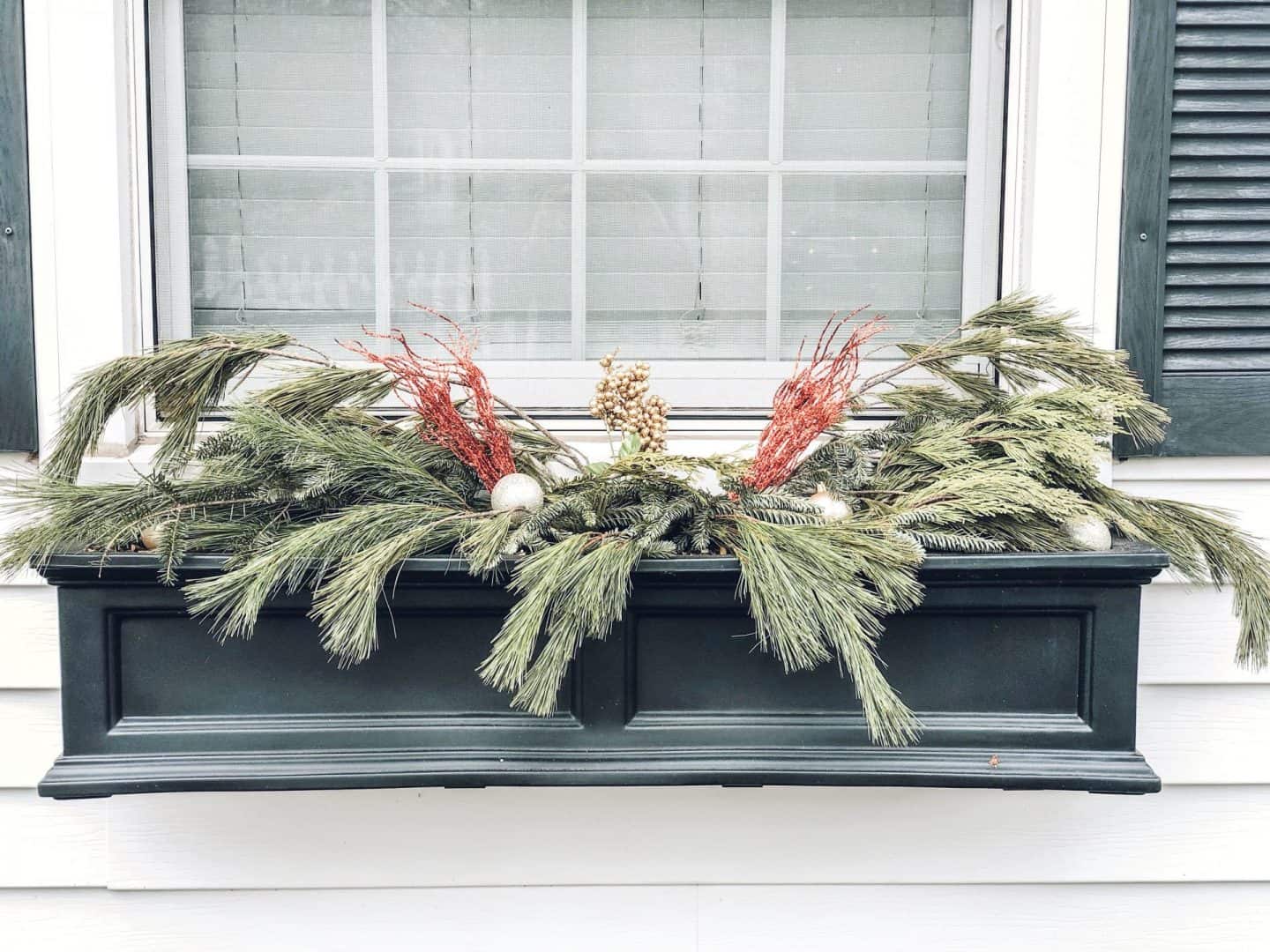 Inexpensive Winter Window Box Ideas