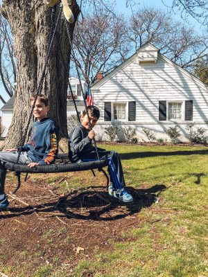 tree swing