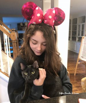 disney experience at home