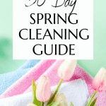 30 day spring cleaning guide 2023